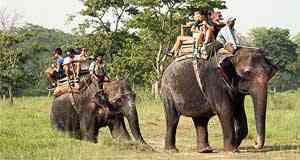 Chitwan is famous National Park for elephant Safari