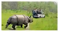 Chitwan National Park One-horned rhinoceros in Chitwan National Park during a jungle safari