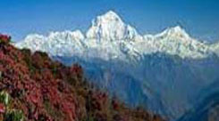 Poon Hill Trek with panoramic sunrise views of the Annapurna and Dhaulagiri ranges