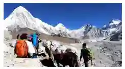 Nepal Adventure Trekking Group of trekkers walking through the Himalayan mountains in Nepal