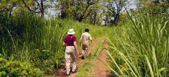 Chitwan Nature Walk