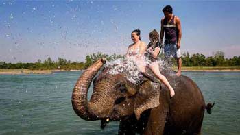 elephant bathing on river