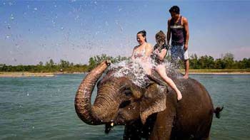 Elephant bathing experience along the Rapti River in Chitwan