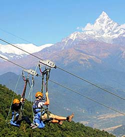 Zip Flyer