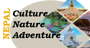 Nepal TOUR Packages