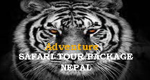 Nepal SAFARI Tour Packages