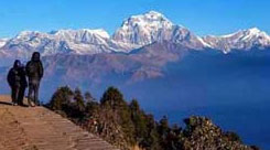 Ghorepani Poon Hill Trek